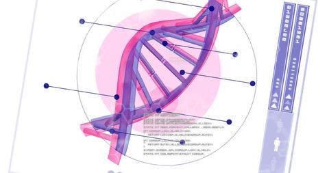 digital processing of genetic information around dna helix - Download Free Stock Images Pikwizard.com