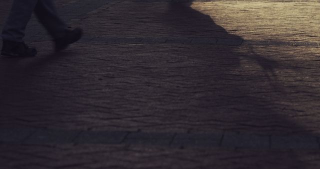 A person walks on a textured pavement, casting a long shadow in the warm light, with copy space. Capturing the essence of urban life, the image evokes a sense of movement and the passage of time.