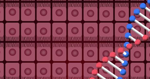 DNA Helix Over Red Cells Conceptual Art Biology