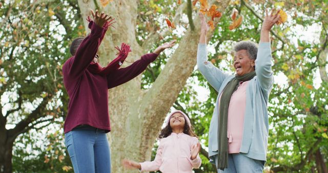 Three Generations of Women Playing with Autumn Leaves in Park - Download Free Stock Images Pikwizard.com