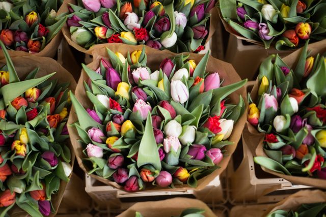Close-Up of Colorful Tulip Bouquets at a Flower Market - Download Free Stock Photos Pikwizard.com