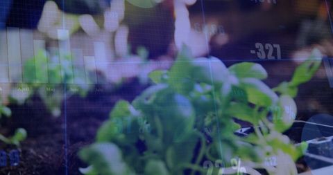 Growing seedlings with financial data overlay double exposure for sustainable growth