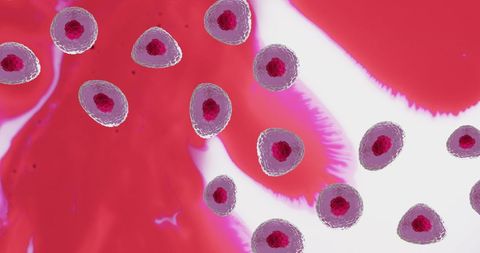 Microscopic View of Vibrant Cells in Study - Download Free Stock Images Pikwizard.com