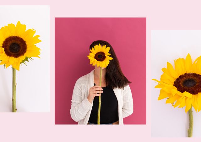 Woman Holding Sunflower With Bright Pink Background - Download Free Stock Videos Pikwizard.com