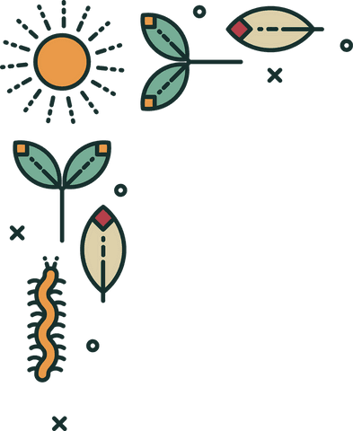 Transparent Nature Themed Illustrative Frame with Worm and Leaves