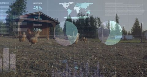 Rural farmyard with chicken analytics and natural environment
