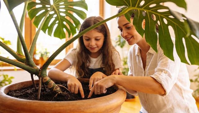 Mother teaching daughter planting monstera in terracotta pot — indoor gardening lesson