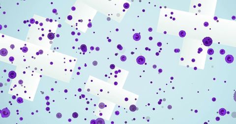 Violet cells on light blue background with white crosses