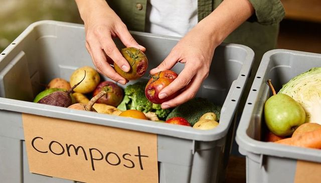 Sorting kitchen scraps for home composting with bruised fruit and vegetable waste