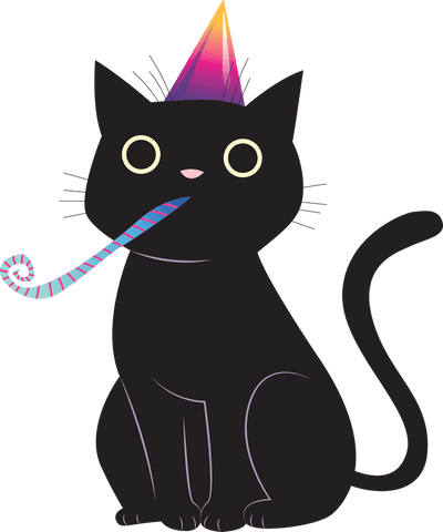 black cat wearing party hat on transparent background - Download Free Stock Videos Pikwizard.com