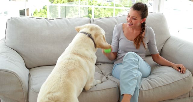 Woman spends quality time playing with her Labrador Retriever on a comfortable couch in a bright, cozy living room. She is wearing casual clothing and smiling, enjoying the companionship of her pet. This scene is perfect for illustrating themes of home, relaxation, pet companionship, and living room decor.