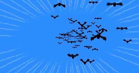 Swarm of soaring bat silhouettes against vivid blue skyscape with radiating light streaks