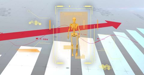 Digital anatomy model with data analysis interface