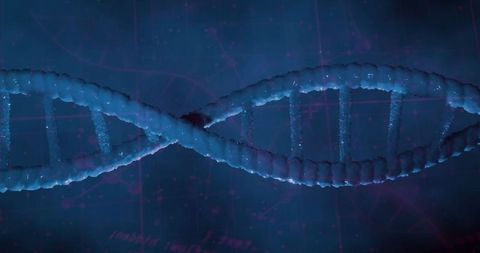 3d rendering dna helix with digital grid background