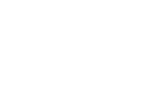 Man performing push-ups on bosu ball transparent vector silhouette