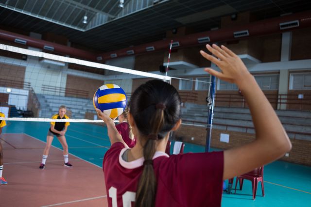 Female volleyball players competing on an indoor court, preparing to serve. Useful for illustrating teamwork, sports activities, athletic events, and female empowerment in competitive sports.