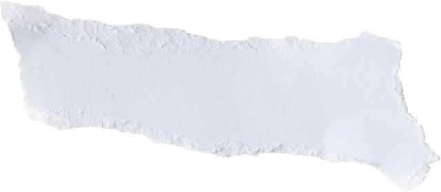 White Torn Paper Strip with Texture Isolated on Transparent Background - Download Free Stock Videos Pikwizard.com