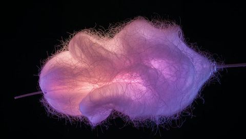 Glowing cotton candy tuft floating on rod with neon pink and purple led illumination