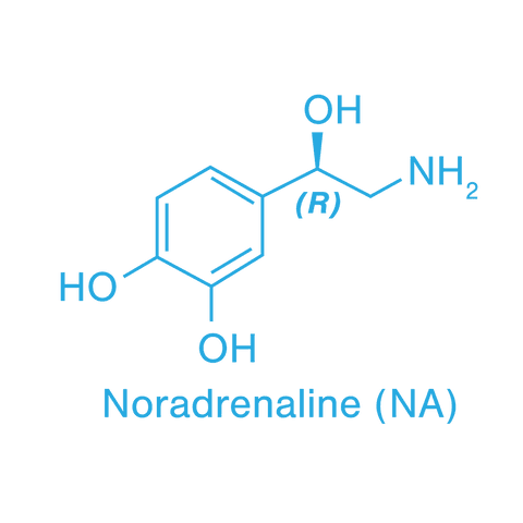transparent chemical structure of noradrenaline molecule - Download Free Stock Videos Pikwizard.com