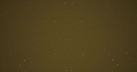 Snowfall on Brown Background with Copy Space for Seasonal Design - Download Free Stock Images Pikwizard.com