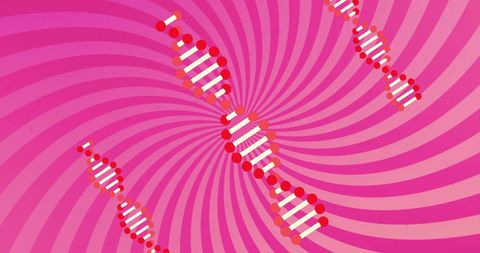 Rotating dna helices on vibrant pink concentric pattern