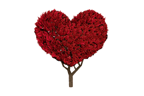 heart-shaped tree illustration on transparent background - Download Free Stock Videos Pikwizard.com