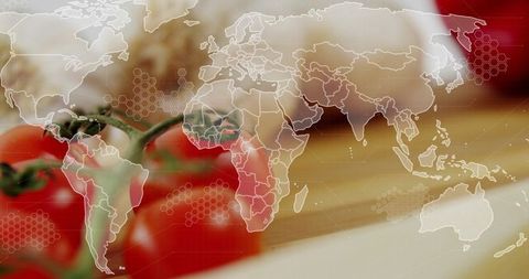 Cherry tomato vine on wooden board with global map overlay for food supply analytics