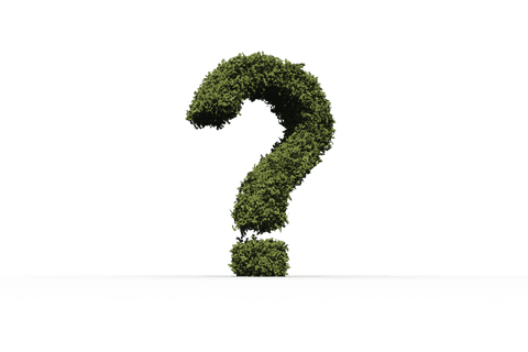 transparent green foliage question mark - Download Free Stock Videos Pikwizard.com