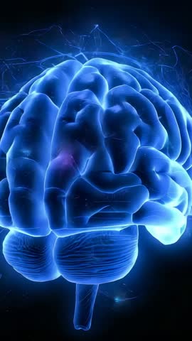 Rotating Blue 3D Brain Vertical Animation with Glowing Neural Impulses