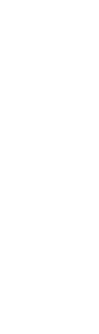 Confident Silhouette of Bald Man on Transparent Background - Download Free Stock Videos Pikwizard.com