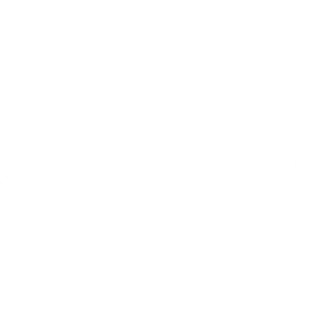 Minimalist White Flower Logo on Transparent Background - Download Free Stock Videos Pikwizard.com