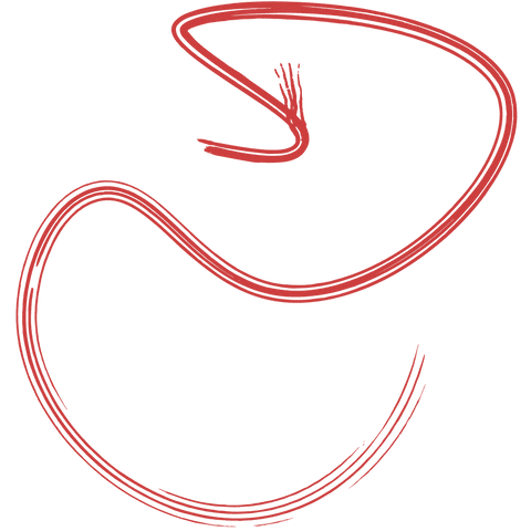 curved red hand drawn arrow transparent background illustration - Download Free Stock Videos Pikwizard.com