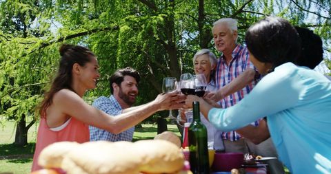 Diverse Group Toasting with Wine at Outdoor Picnic