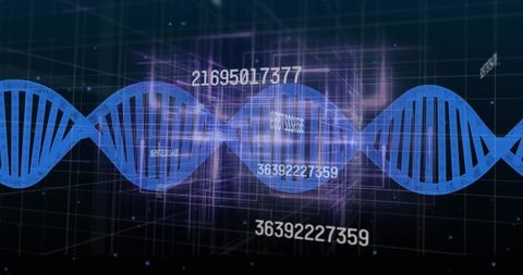 Rotating blue dna helix crossing holographic 3d genomics interface with numeric data grid