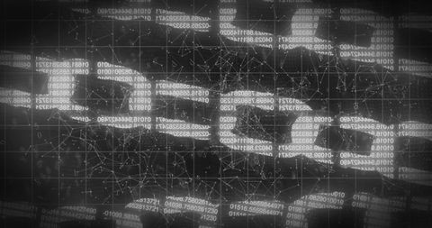 Digital Interface with Binary Code and Networks - Download Free Stock Images Pikwizard.com