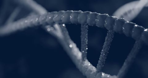 Macro of Blue 3D DNA Strand Spinning in Focus