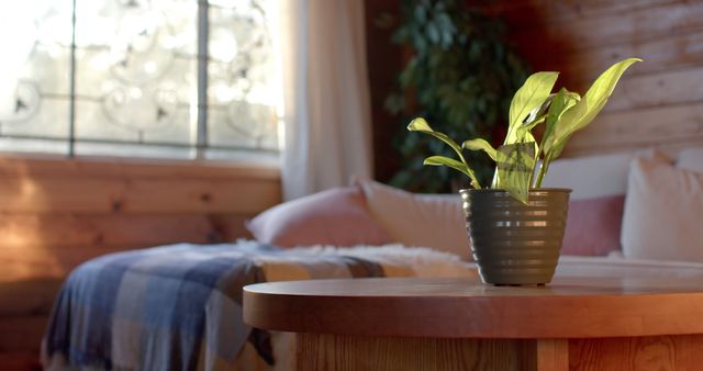 Plant on wooden table in cozy, sunlit bedroom. Suitable for themes involving home decor, relaxation, and interior design. Ideal for content on morning routines, comfort, and peaceful living spaces.