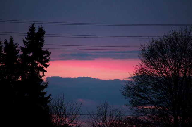 Stunning Pink and Purple Sunset Above Silhouetted Trees - Download Free Stock Images Pikwizard.com