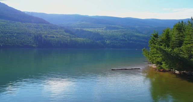 A serene lake is bordered by lush greenery and forested hills under a clear blue sky, with copy space. The tranquil setting suggests a peaceful retreat in nature, ideal for relaxation and outdoor activities.