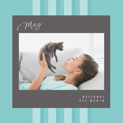 woman celebrating national pet month playing with kitten - Download Free Stock Templates Pikwizard.com