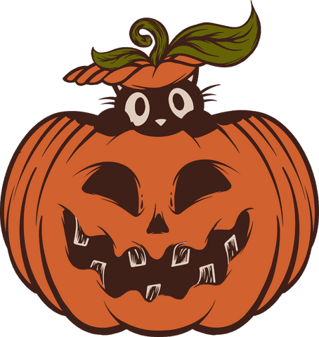 whimsical jack-o'-lantern with cat on transparent background - Download Free Stock Videos Pikwizard.com