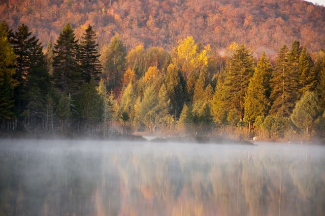 Enchanting autumn scenery with mist over a still lake reflecting colorful forest. Ideal for nature blogs, meditation and relaxation themes, or travel guides highlighting fall destinations. Perfect for promoting serene and peaceful outdoor experiences.
