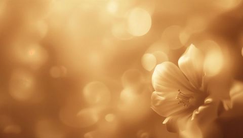 Golden sepia blossom close-up with soft bokeh, dreamy macro floral and warm backlit glow