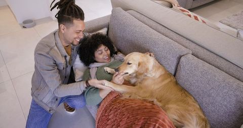 African american couple cuddling golden retriever on modern gray sofa enjoying cozy home