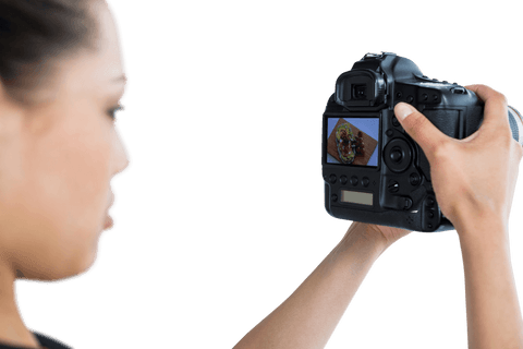 photographer reviewing shot on camera display with transparent background - Download Free Stock Videos Pikwizard.com