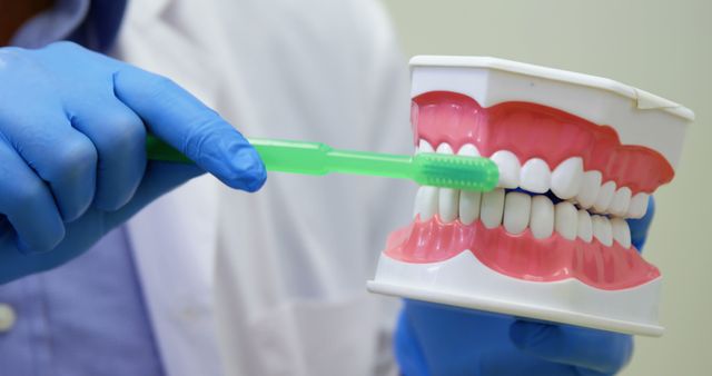Image displays a professional dentist wearing blue gloves, holding a dental model, and demonstrating how to brush teeth properly. Ideal for use in dental care brochures, educational materials, or online content about oral hygiene practices.