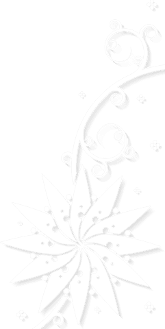 ornate starburst flower with vines on transparent background - Download Free Stock Videos Pikwizard.com