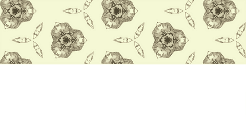 Geometric Floral Pattern on White and Transparent Background - Download Free Stock Videos Pikwizard.com