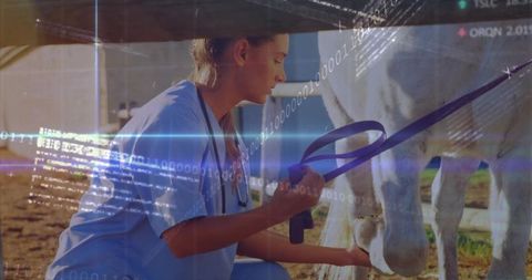 Veterinarian Caring for Horse on Farm with Digital Overlay