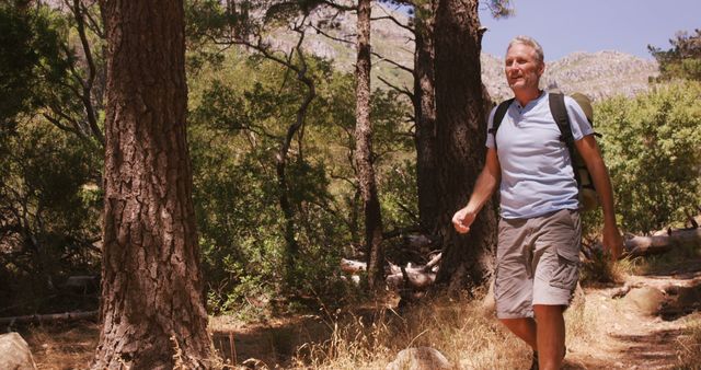 Senior man is enjoying a hike in a forest on a sunny day, surrounded by tall trees and lush greenery. Ideal for promoting outdoor activities, healthy lifestyles, and adventure travel. Perfect for advertisements, travel blogs, fitness magazines, and nature conservation campaigns.